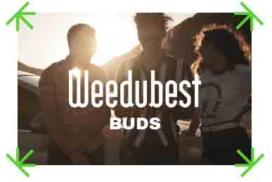 Weedubest Buds VIP Membership